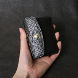 【2025 SPECIAL】C3 墨染めパイソン コイン&カードケース