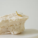 【LIMITED】25W-P01 「growing eight」∞ピアス 1.カフタイプ