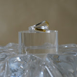 【LIMITED】25W-R01 「growing eight」リング