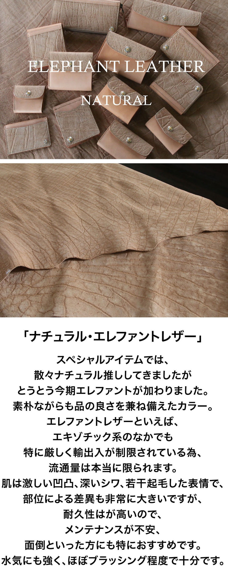 【2023スペシャル 】 W10 ナチュラルエレファント×ハーマンオーク コンパクトウォレット