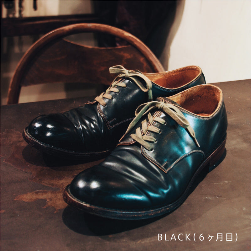 #2100 CORDOVAN PLAIN TOE SHOES BLACK コードバンプレーントゥシューズ ブラック